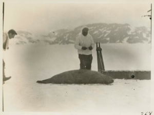 Image of Ka-ko-chee-ah and a hooded (bearded?) seal on the ice